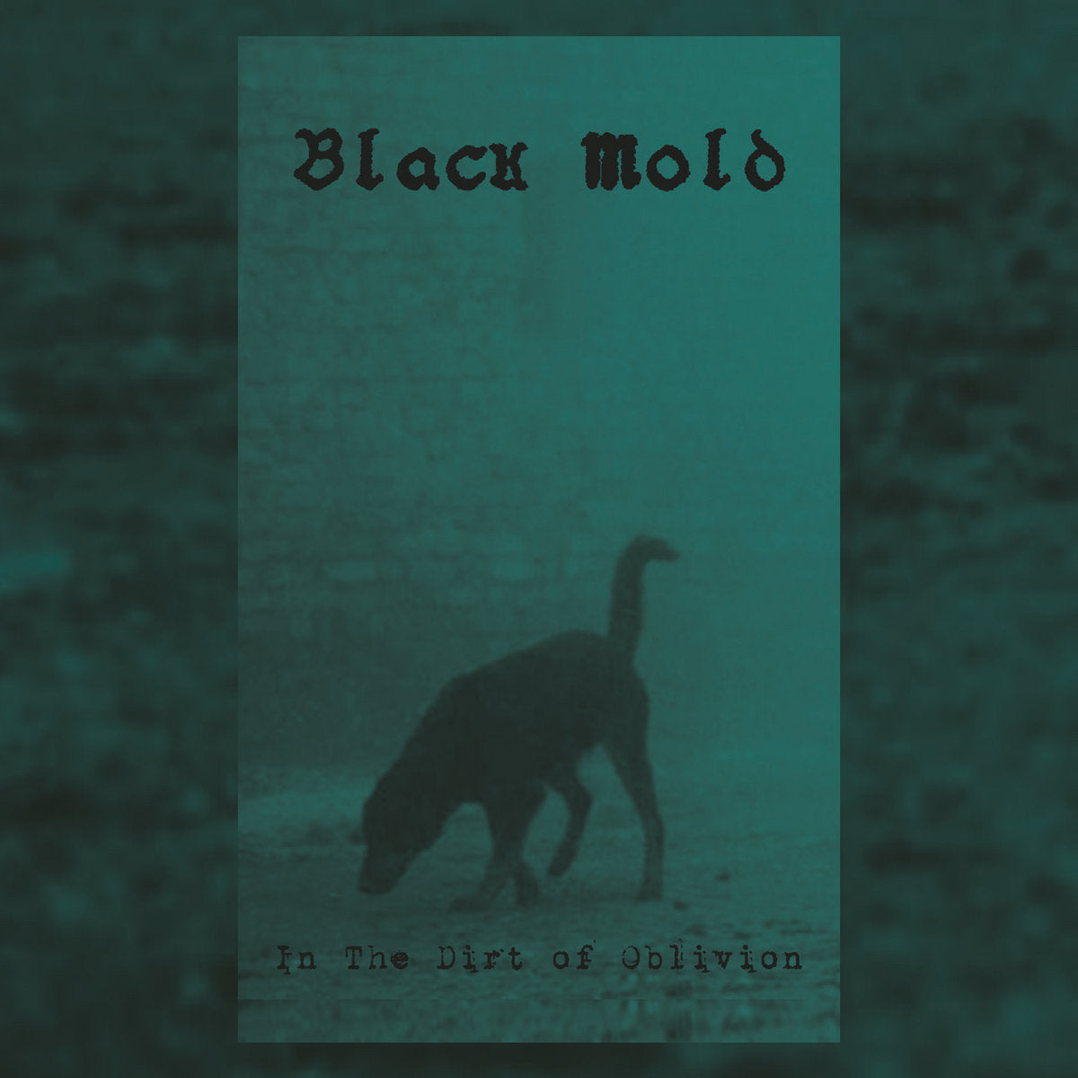 BLACK MOLD - In the Dirt of Oblivion Tape